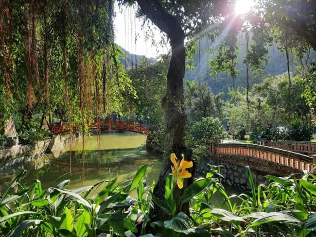 Vườn sinh thái & cầu gỗ đỏ
