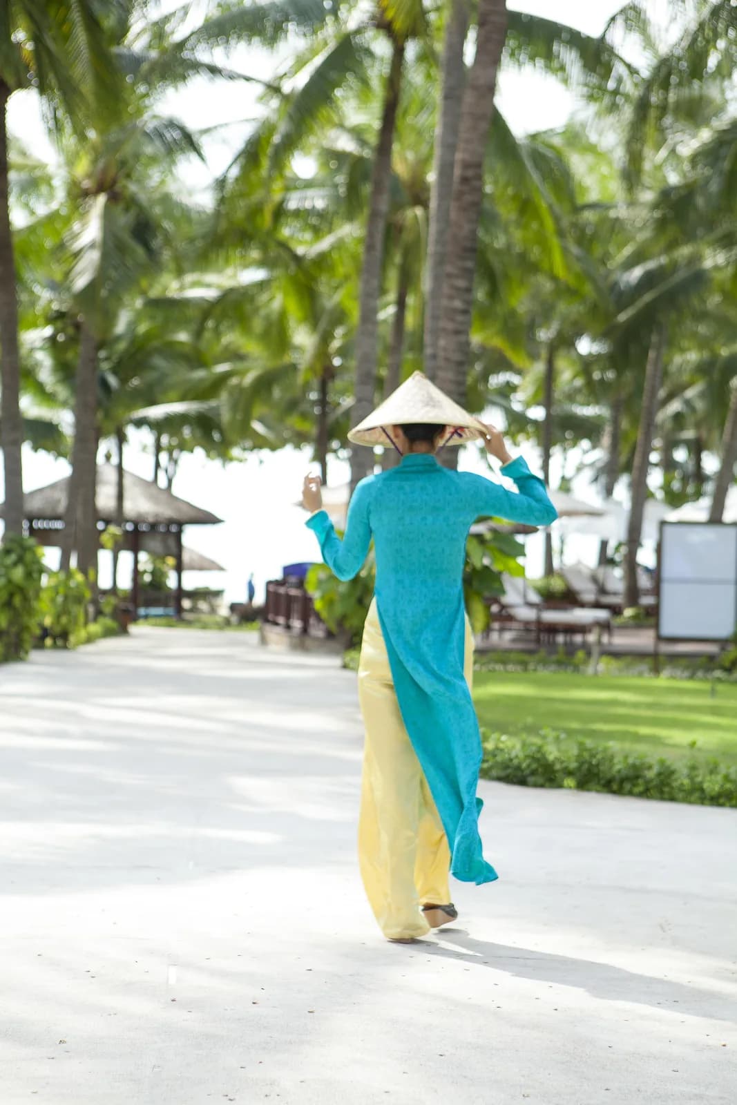 Vườn dừa xanh mát