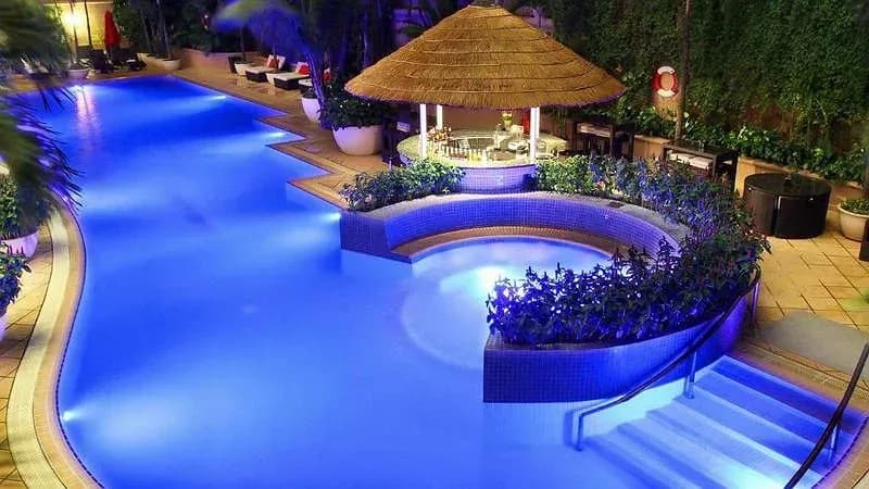 Hồ bơi giữa vườn nhiệt đới