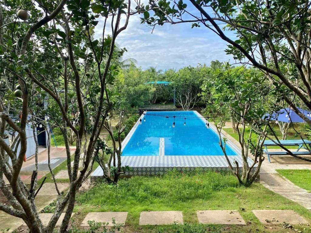 Hồ bơi giữa vườn cây trái