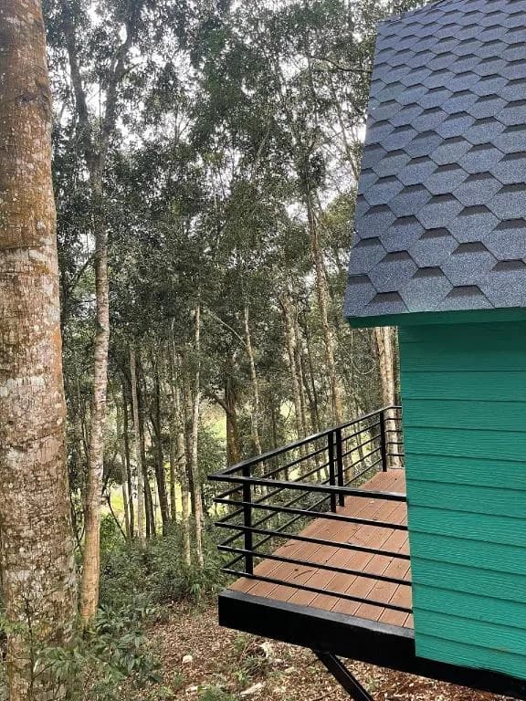 Bungalow Gỗ Bên Rừng