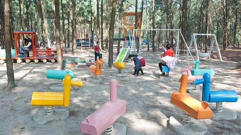 Play World & HoHoo Zoo