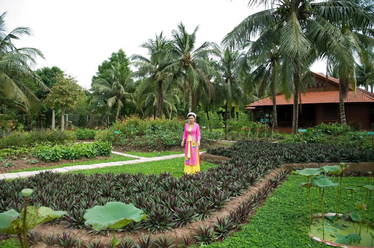 Vườn rau & thảo mộc miệt vườn