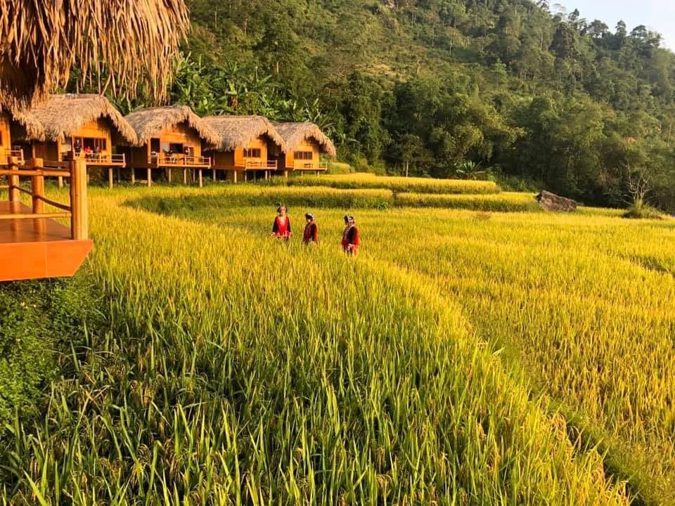 Bungalow nhà sàn tre nứa