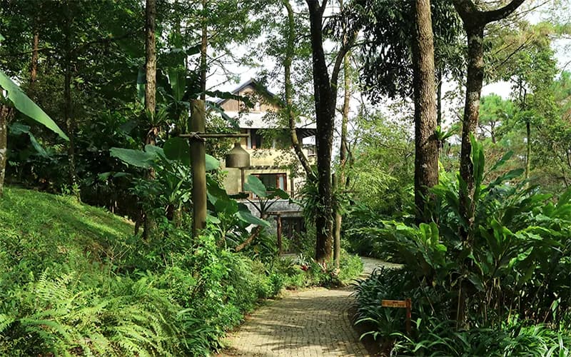 Villa Suite Lò Sưởi