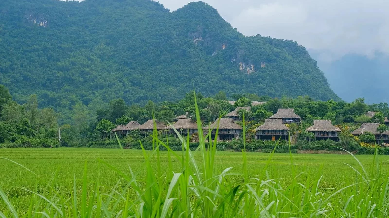 Combo gia đình cuối tuần