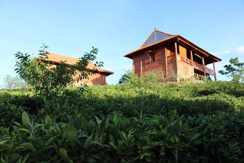 Nhà sàn truyền thống