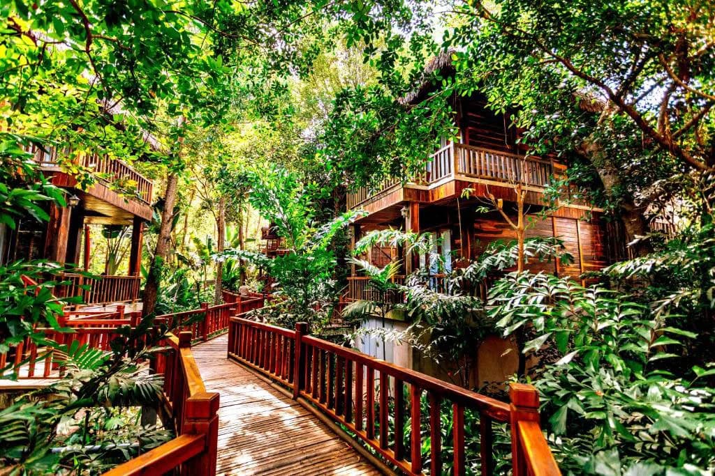 Jungle Bungalow