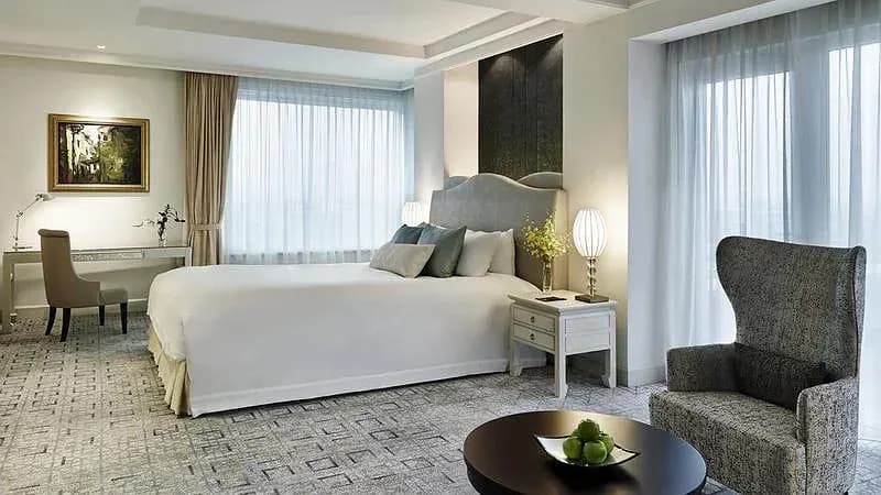 Studio & Premier Suite