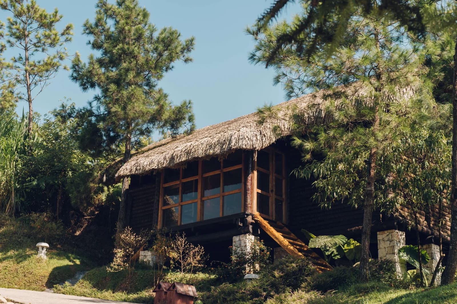 Bungalow Mountain View