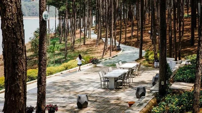 Terracotta Hotel & Resort Dalat 5