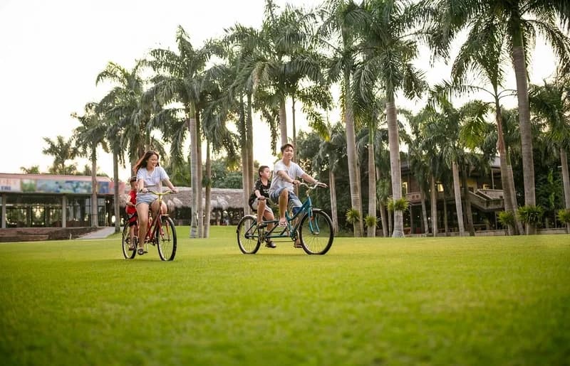 Đạp xe qua vườn cọ