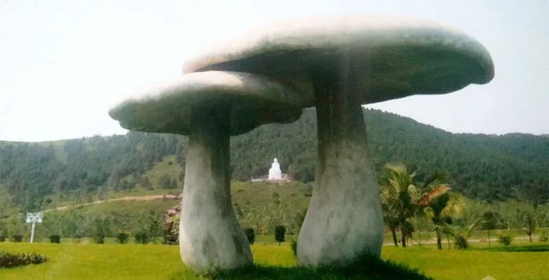 "Đà Lạt thu nhỏ" bên bờ biển