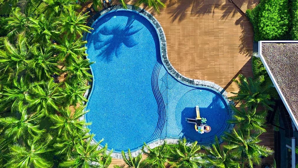 Bể bơi lagoon giữa rừng dừa