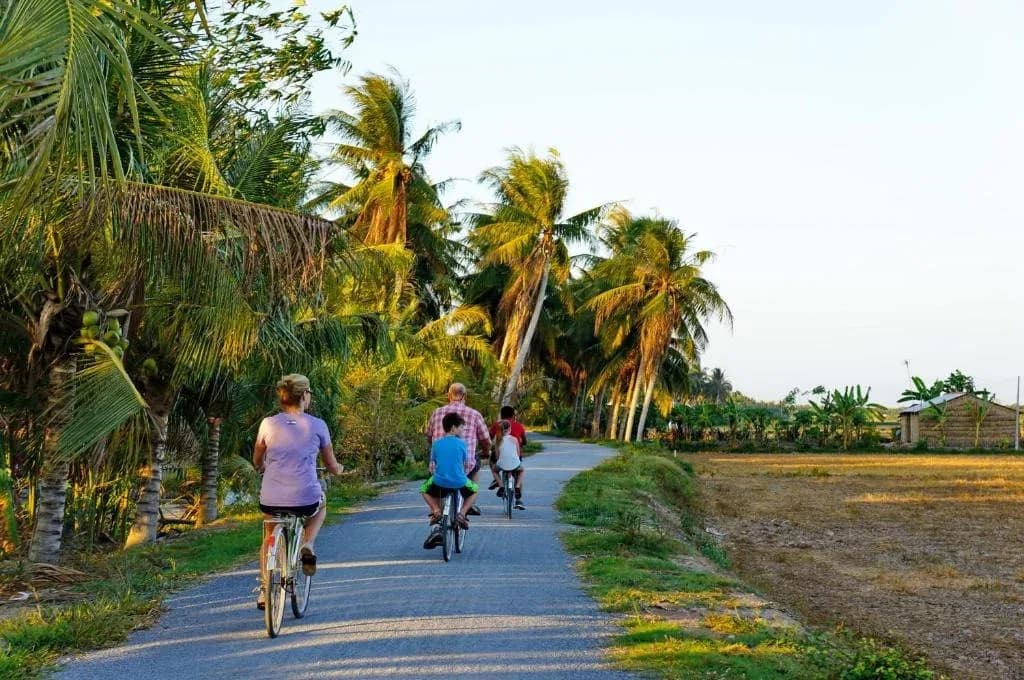 Đạp xe hoàng hôn qua ruộng lúa