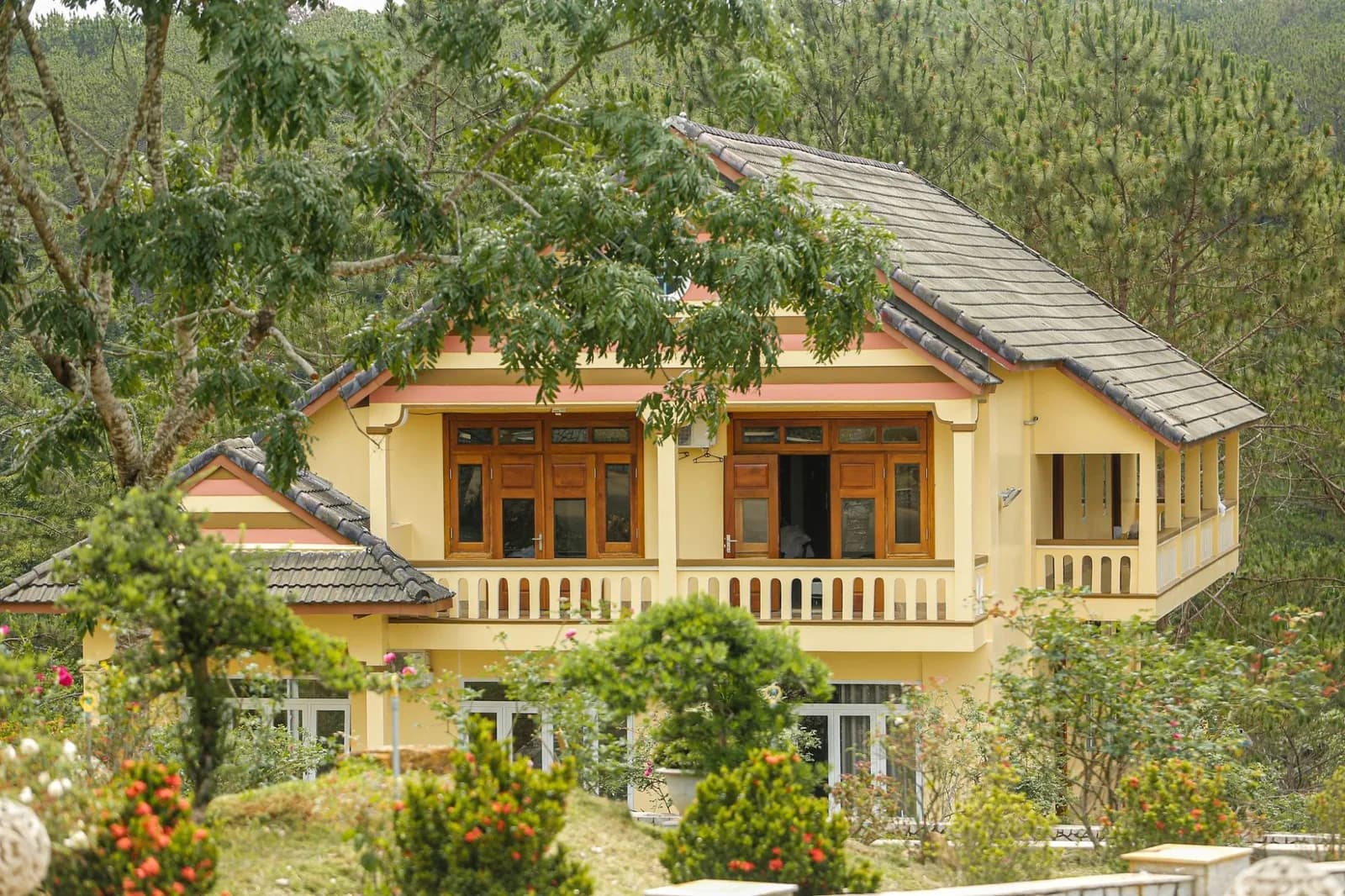 Villa vàng giữa rừng thông