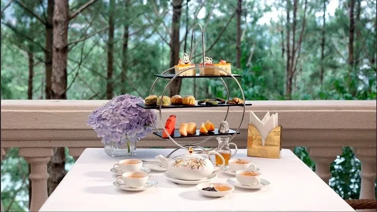 Trà chiều bên rừng thông