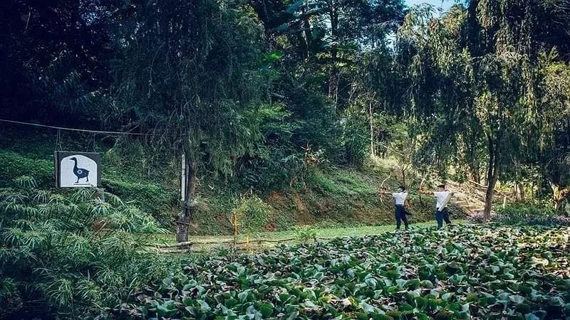 Bắn cung giữa thiên nhiên