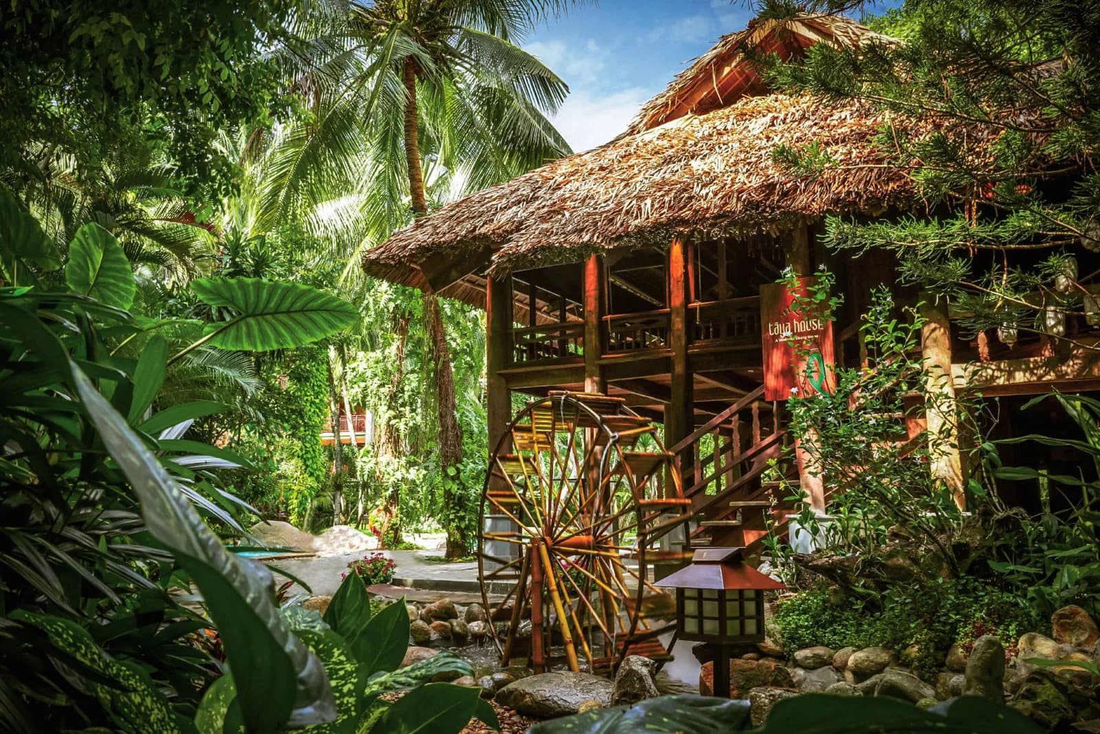 Taya House - lớp bếp Việt