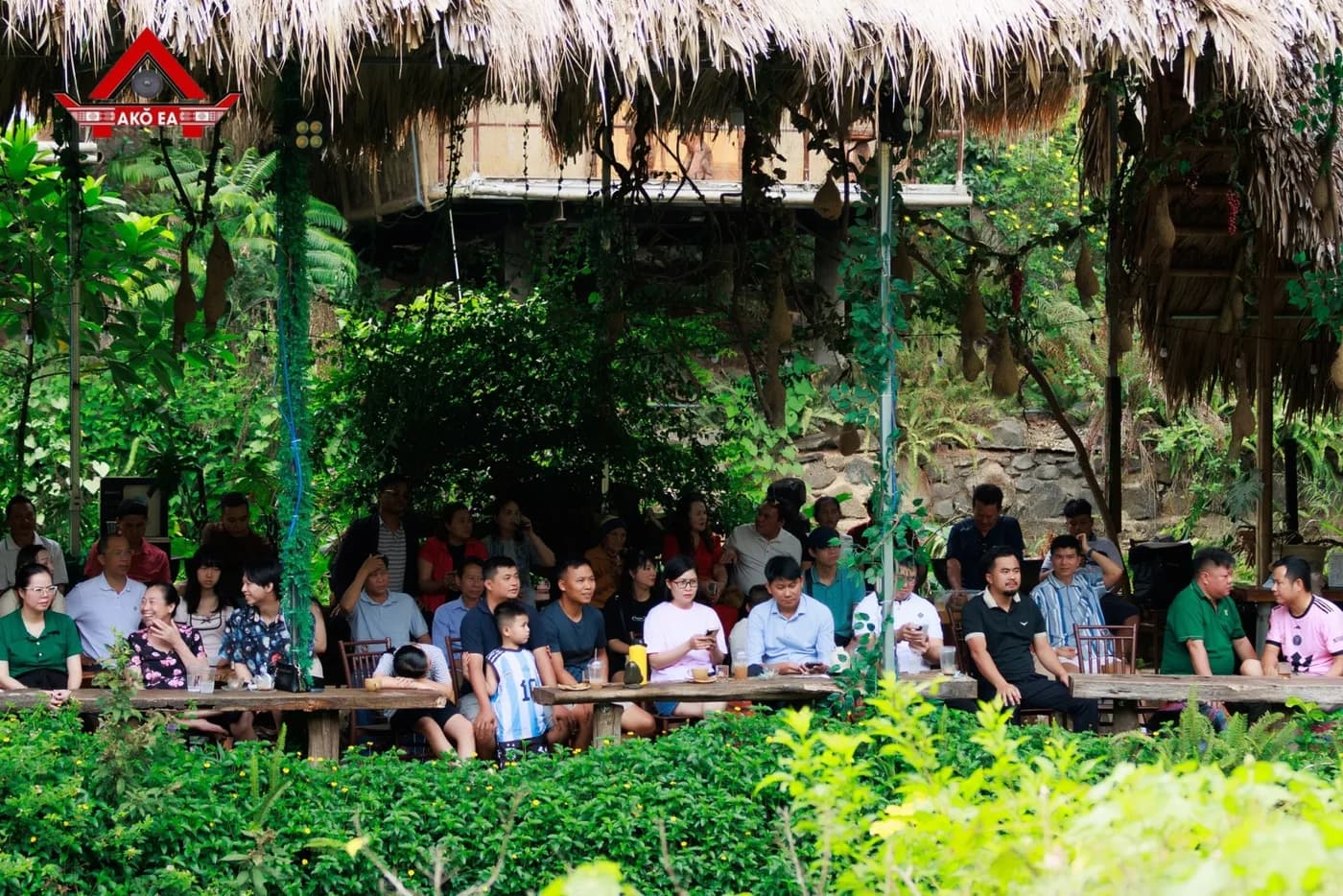 Cà phê giữa rừng nguyên sinh
