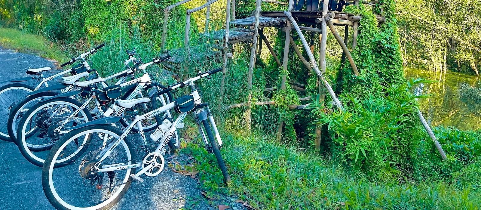Đạp xe khám phá khu sinh thái