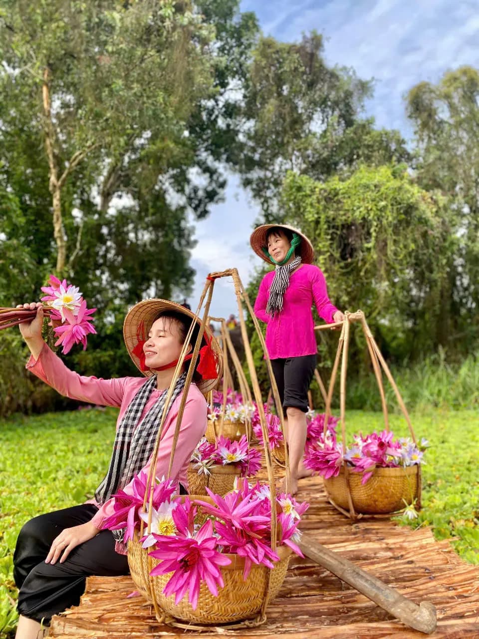 Chèo xuồng ba lá hái bông súng