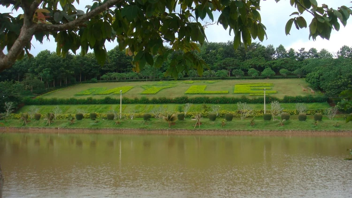 Phòng hội thảo Diamond