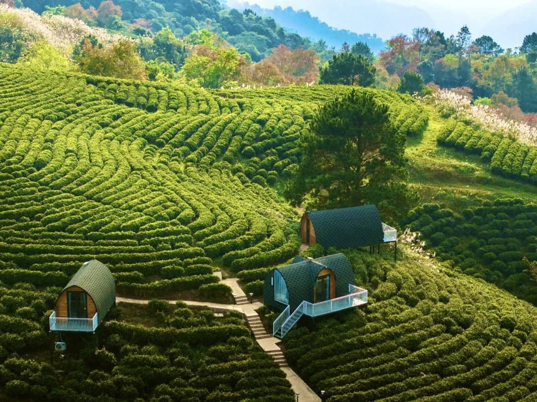 Kolia Resort