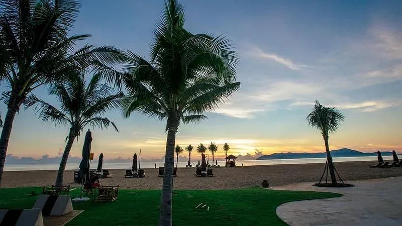 Beach Club bên biển