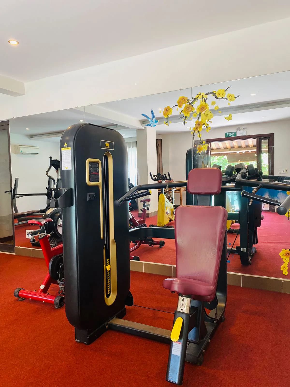 Phòng Gym