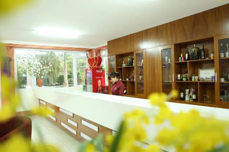 Quầy bar & lounge