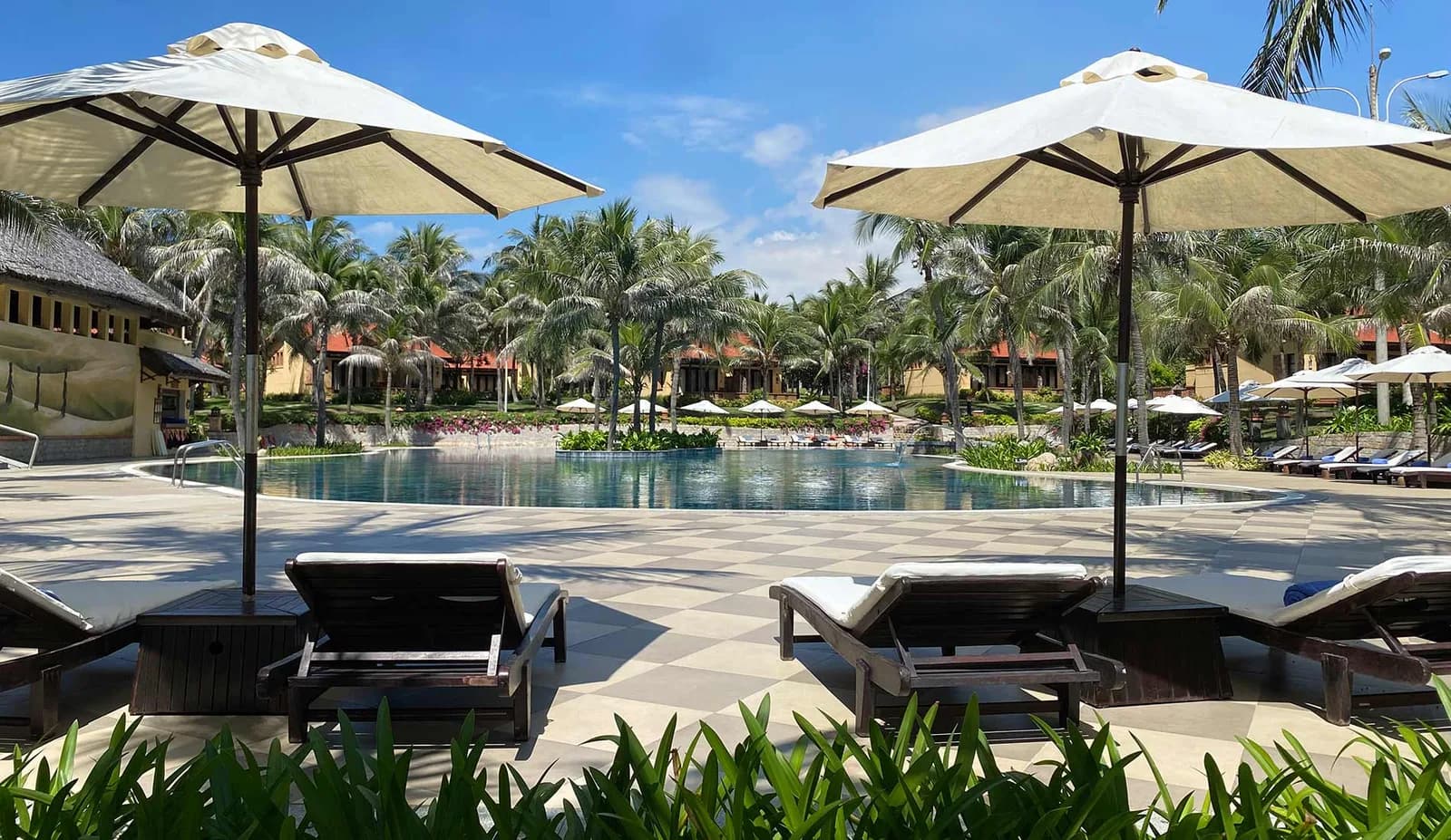 Hai bể bơi giữa rừng dừa