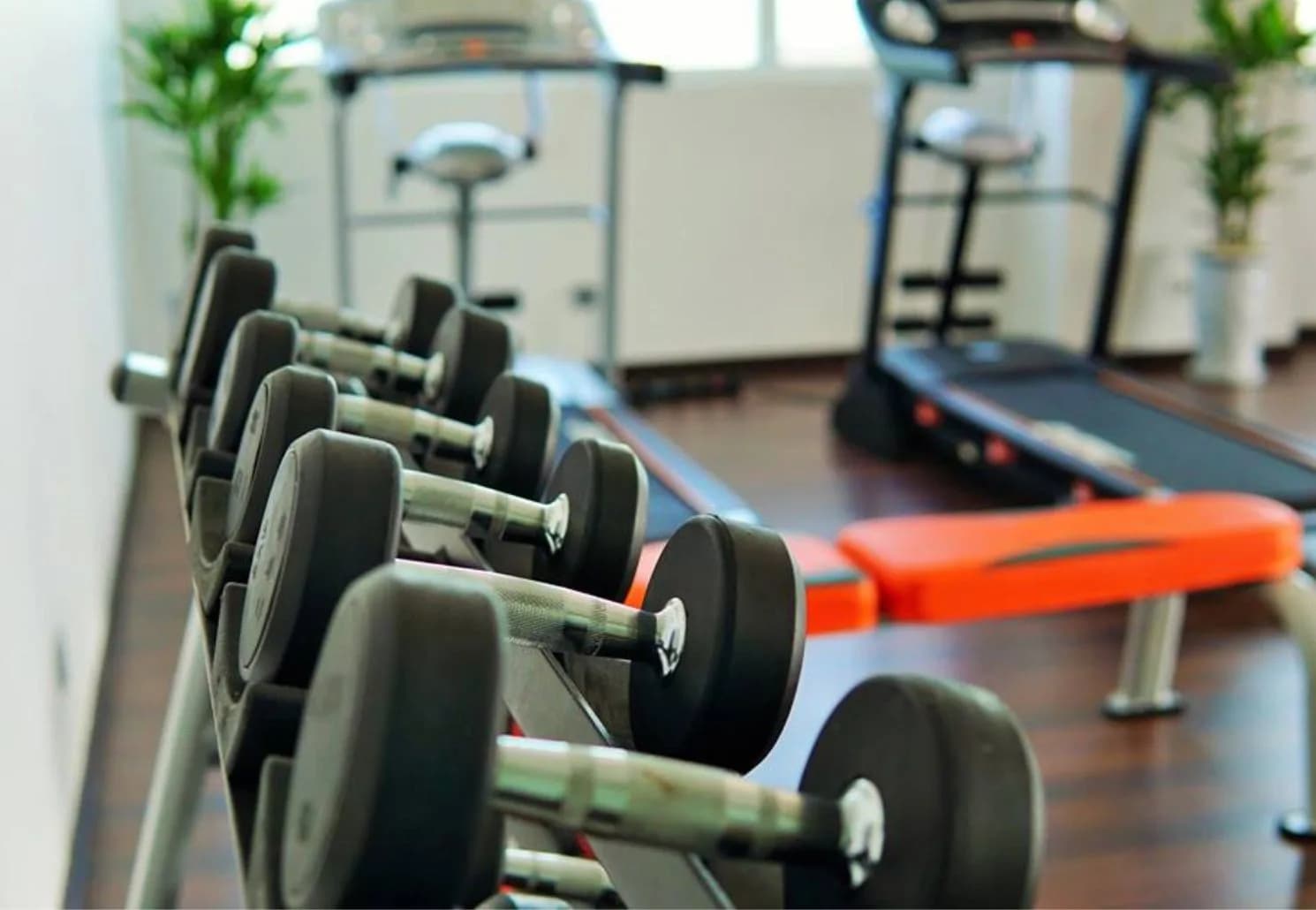 Phòng gym - fitness