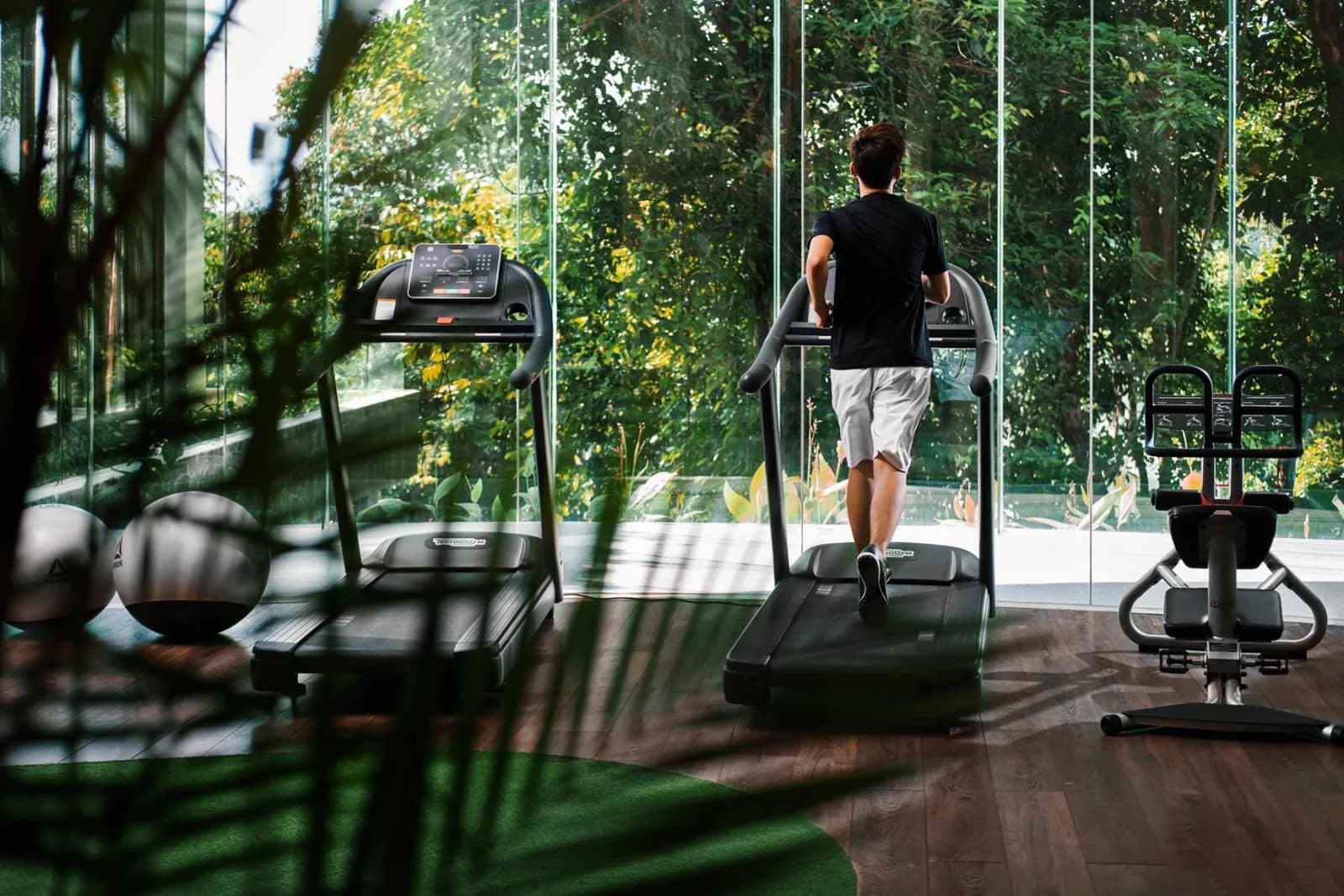 Gym & Yoga giữa rừng