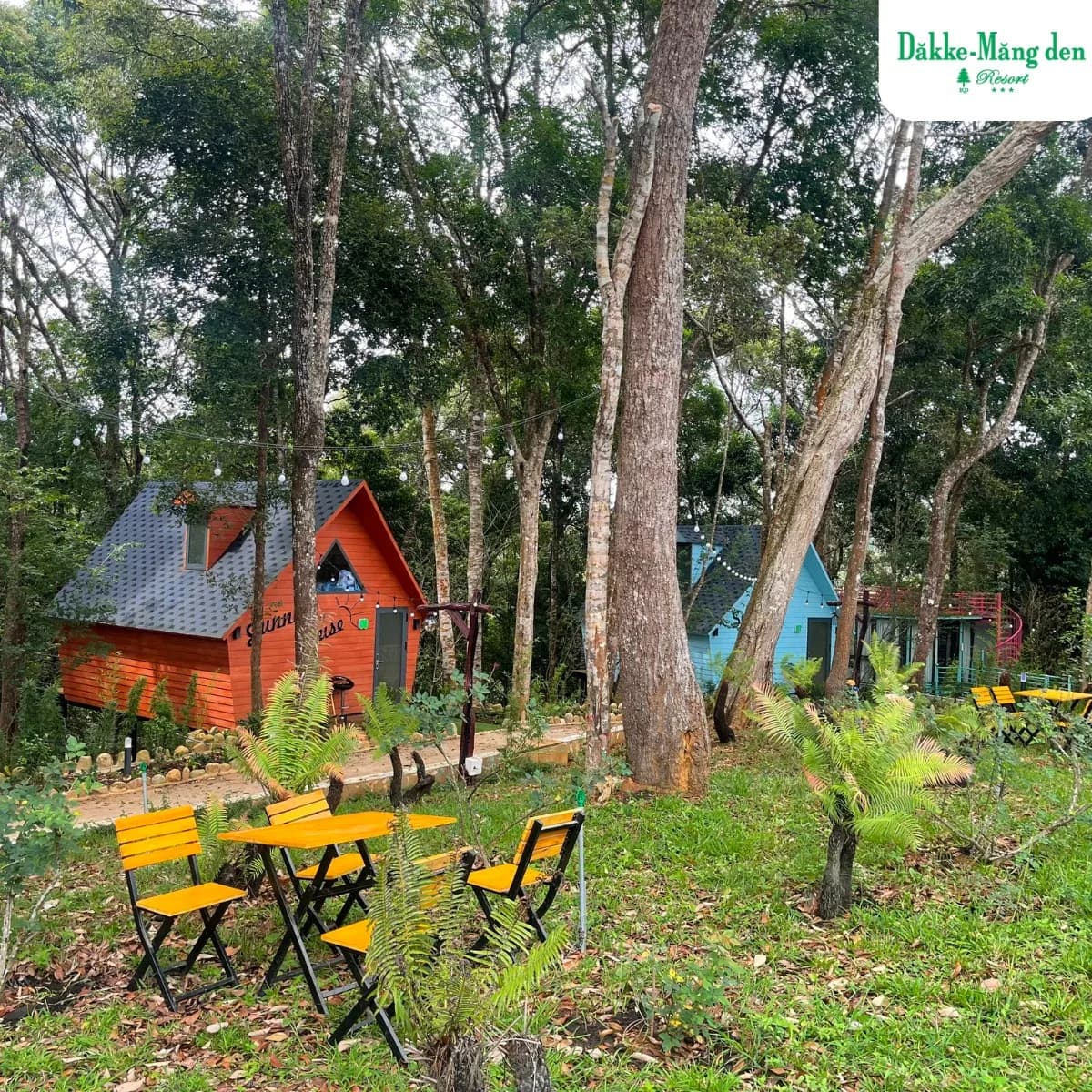Nhà gỗ A-Frame giữa rừng