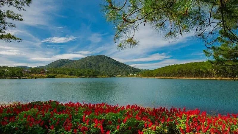 Terracotta Hotel & Resort Dalat