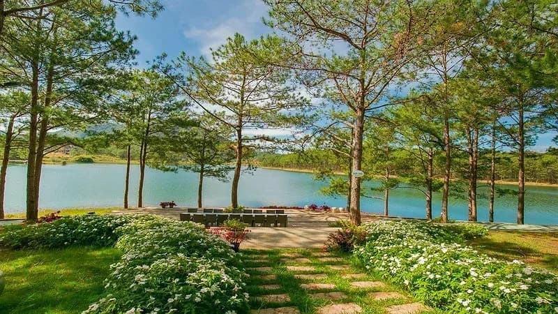 Rừng thông bên hồ Tuyền Lâm