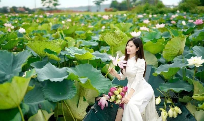 Đầm sen Bạch Thủy 72ha
